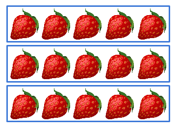 Image of rows of strawberries